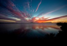 Frambjóðendur í Norðausturkjördæmi