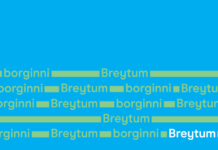 Breytum borginni og gerum hana betri