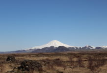 Flokkurinn með yfirburði í Suðurkjördæmi
