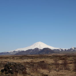 Flokkurinn með yfirburði í Suðurkjördæmi